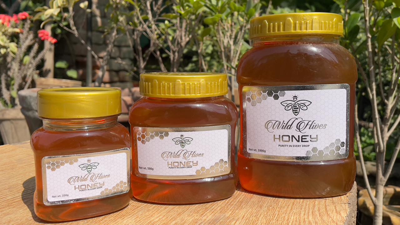 Paloosa Honey | Wild Hives - Image 4